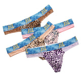 4 Pack Bold Leopard Lace Thong Modern Undies Mix 26-29in (66-73cm) 4pcs