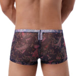 Trippy Sheer Trunks Modern Undies   