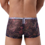 Trippy Sheer Trunks Modern Undies   