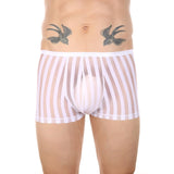 Vertical Stripe Trunks Modern Undies   