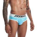 Iconic Briefs Modern Undies   