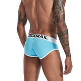 Iconic Briefs Modern Undies   