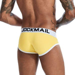 Iconic Briefs Modern Undies   