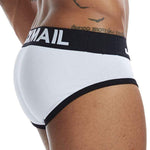 Iconic Briefs Modern Undies   