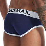 Iconic Briefs Modern Undies   