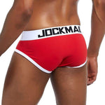 Iconic Briefs Modern Undies   