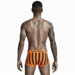 Sport Strap Trunks Modern Undies   