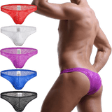 5 Pack Sheer Lace Bikini Modern Undies Mix 27-30in (68-78cm) 