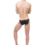 Daring Mesh Bikini Modern Undies   