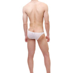 Daring Mesh Bikini Modern Undies   