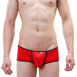Delicate Trimmed Trunks Modern Undies   